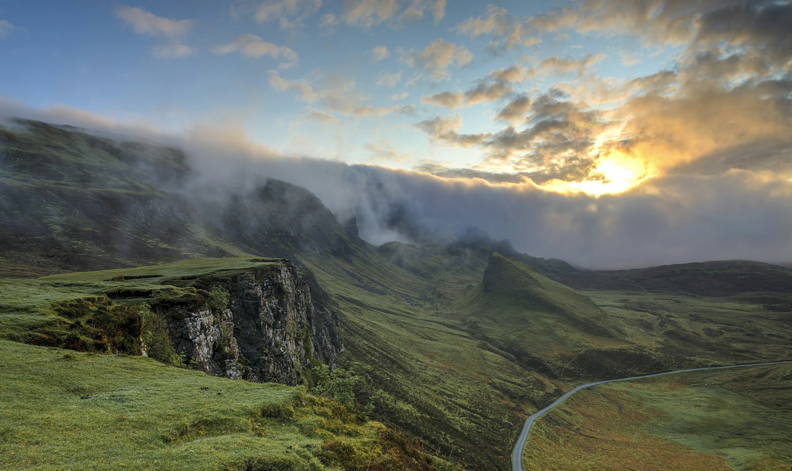 Sustainable forest landscape at sunrise - Chief Sustainability Officer vision