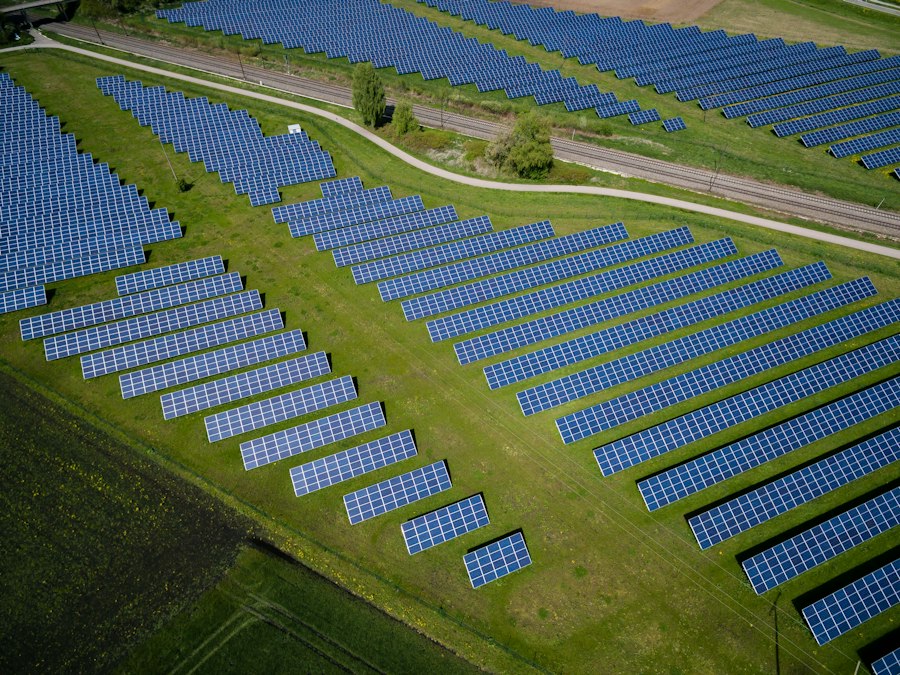 Solar panels field - renewable transition led by Chief Sustainability Officer